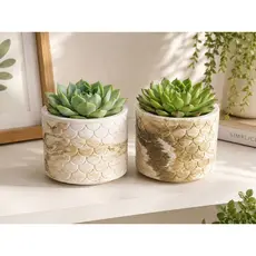 KIT 2 ou 4 Unidades DE Vasinho e Vasos Decorativos DE Gesso P/ Plantas Cactos, Suculentas reais Artificiais - Envio Full