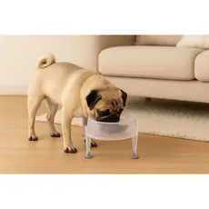 Comedouro Elevado para Gatos e Cães Pequenos -  750ml – Antiestresse, Antiderrapante, BPA Free