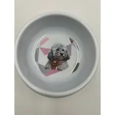 Comedouro/Bebedouro para Pet Cão ou Gato | Plástico - Estampa Divertida | Capacidade: 400 ml