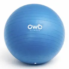 Bola De Pilates Suiça Com Bomba Yoga Academia Owo Fitness