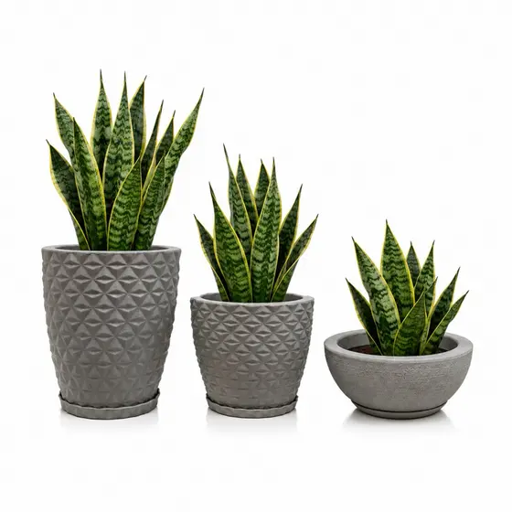 Kit 3 Vasos para Plantas com Prato Coletor Vaso Decorativo Texturizado Diamante e Bacia para Sala Jardim Varanda
