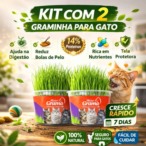 Grama Para Gato Mister C/ 2 Unidades – Auxilia na Digestão e Bola de Pelo / Fácil de Plantar