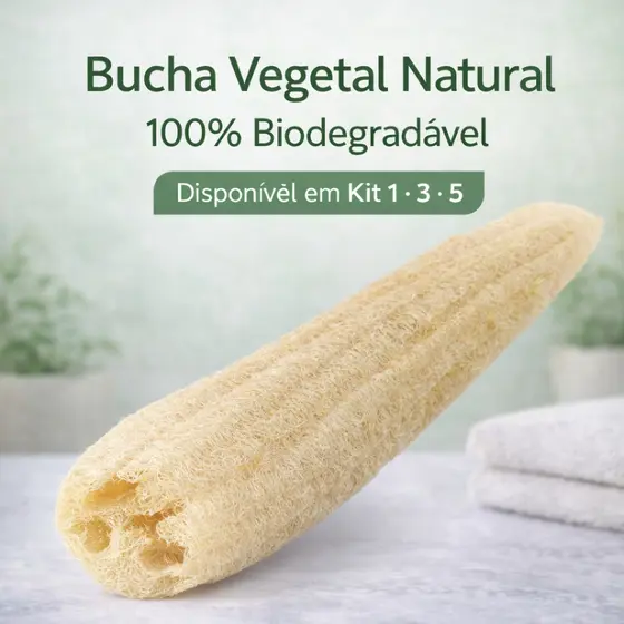 Bucha Vegetal Natural Inteira Luffa Bucha de Metro para Banho Louça Limpeza