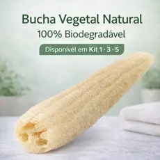 Bucha Vegetal Natural Inteira Luffa Bucha de Metro para Banho Louça Limpeza