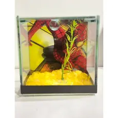 Aquário retangular 11x09x11 Beteira Decorado Pedras Planta Artificial Tubular Peixe ornamental betas