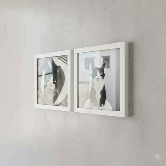 Kit 2 Quadros 18x18 Cm Banheiro Gato Moderno Preto e Branco