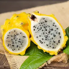 prazer de cultivar 50 100 Sementes Misturadas pcs/pacote Fruta do Dragão Doce para Plantio Pitaya Doce Fruta Fresca
