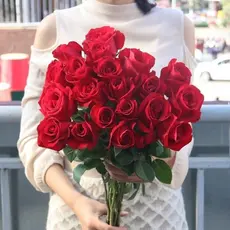 Rara Boa Qualidade Sementes de Rosa Vermelha 50 100 para Plantio (pcs/Saco) Sementes de Flores de Beleza Rosa Vermelha