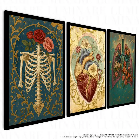 Kit 3 Peças Medicina Anatomia Coração Cardiologia Consultório | Quadros Decorativos em MDF