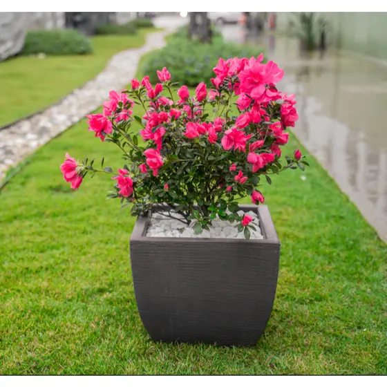 Vaso para Plantas 36x30 em Plástico com Proteção UV Virgem - Jardim, frutiferas e flores