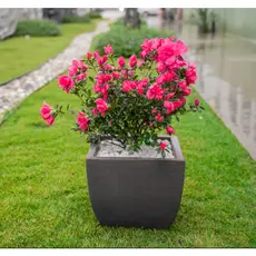 Vaso para Plantas 36x30  em Plástico com Proteção UV Virgem - Jardim, frutiferas e flores