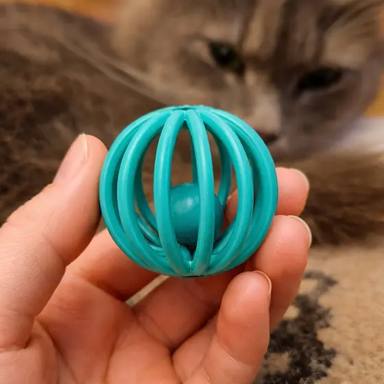 Bolinha para Pets Gato e cães passarinho - Resistente Segura