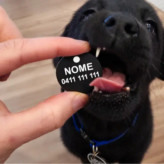 Plaquinha de Identificação Para Pets Personalizada - Pingente com Identificação Nome e Telefone