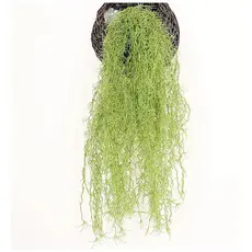 Planta Artificial Pendente Fina 80cm Verde Folhagem Decorativa Realista Para Vaso Suspenso Casa Jardim