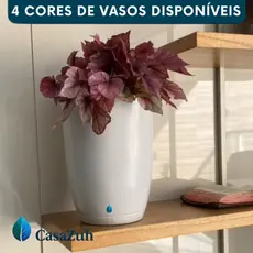 Vaso Planta Flores 32cm Decorativo Cone Bojo Liso Polietileno Moderno Prato Coletor