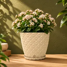 Vaso De Planta Flores Decorativo Diamantado PP 20cm Interno e Externo Polietileno Resistente