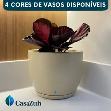 Vaso Decorativo Para Planta Flores Bojo Liso Polietileno Moderno