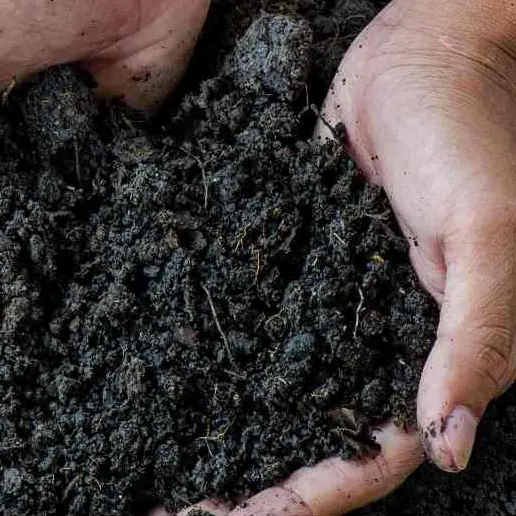 Húmus de Minhoca Adubo Orgânico 2l