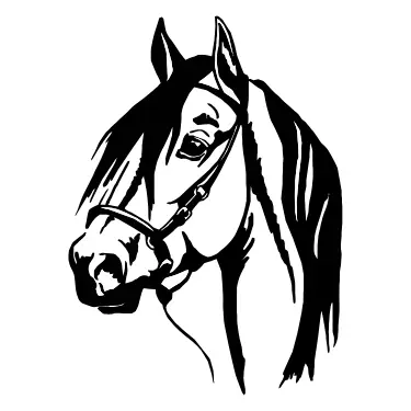 Adesivo Cavalo Hipismo Montaria Animal de Estimação em Vinil de Recorte.