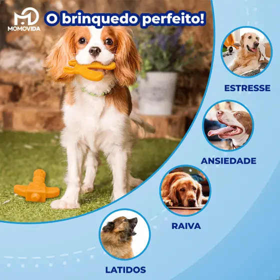 Brinquedo Pet Momovida de Ferramentas Limpa os Dentes e Alivia Estresse de Cães Animais de Estimação