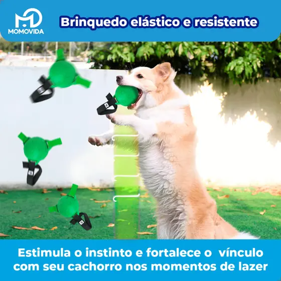 Bola Puxa-Puxa Momovida Interativa para Cães Cachorro Pet Brinquedo Resistente Cinto de Arremesso