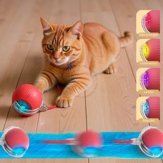 Bola de Rolamento Automática Brinquedo Elétrico Interativa Para Gatos Cães Recarregável Cauda Falsa