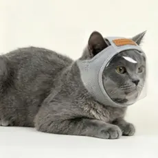 Capuz transparente para gato, visão desobstruída, máscara de malha respirável para gato, máscara protetora.