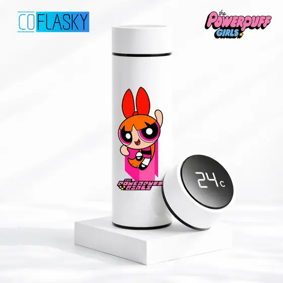 Garrafa Térmica de Água Infantil Aço Inoxidável Florzinha As Meninas Superpoderosas Termometro LED Digital Estampada