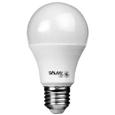 Lâmpada LED Bulbo 9W 6500K E27 Bivolt – Econômica e Durável