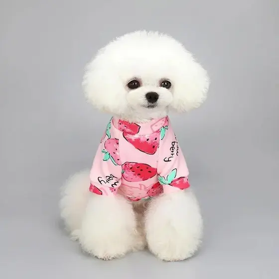 Casaco com Capuz para Cães Chihuahua XS-2XL, Pulôver para Filhotes e Gatos, Roupas Quentes para Cães Pequenos GVCA