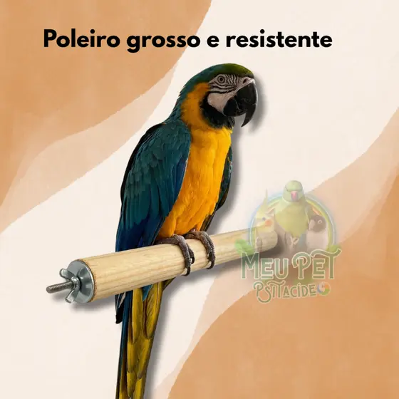 Poleiro para aves médio-grande porte | Ring Neck/Papagaio/Jandaia/Arara