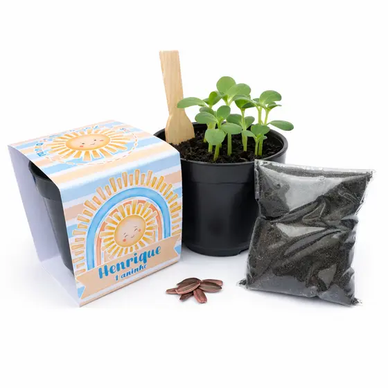 Lembrancinha Minha Primeira Volta ao Sol Personalizada Kit Plantio Lembrancinha Ecológica Aniversário