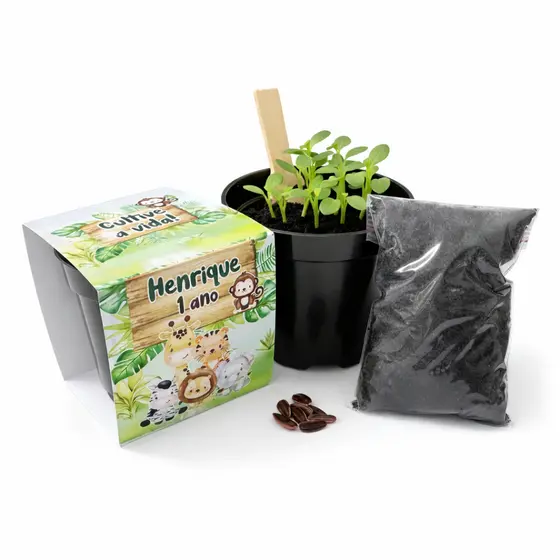 Lembrancinha Para Plantar Personalizada Kit Plantio Safari Lembrancinha Ecológica Aniversário