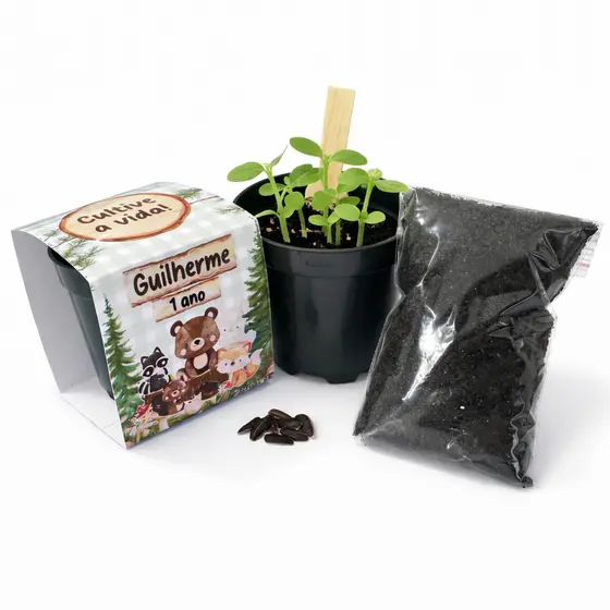 Lembrancinha Para Plantar Personalizada Kit Plantio Bosque Encantado Lembrancinha Ecológica Aniversário