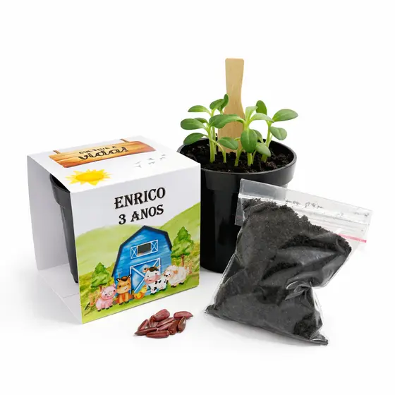 Lembrancinha Para Plantar Personalizada Kit Plantio Fazendinha Lembrancinha Ecológica Aniversário