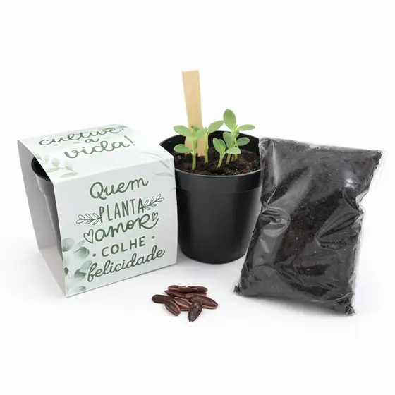 Lembrancinha Kit Jardinagem Para Plantar Kit Plantio Lembrancinha Ecológica Aniversário