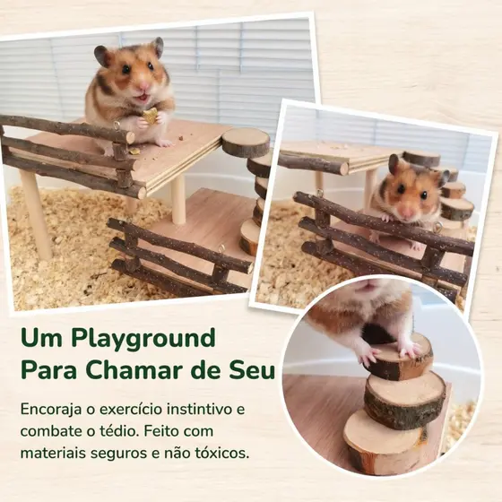kit12 Plataforma com escada de descanso para terrario de hamster, gerbil, ratos , e pequenos animais