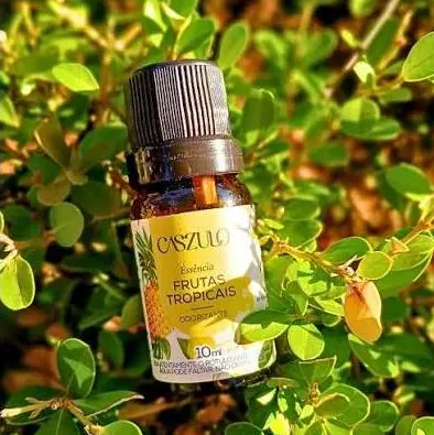 Essencia Caszulo Frutas Tropicais 10ml Via Aroma