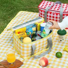 Bolsa Térmica Portátil Cesta Piquenique Praia Camping Retrátil 13Litros