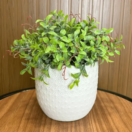 Arranjo Toque Real Planta Peperômia Artificial Realista Montada Com Vaso Branco Decoração Verdinho