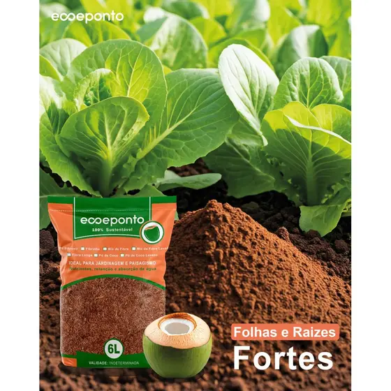 Pó de Coco Lavado 6L Substrato Orgânico para Orquídea Suculenta Cacto Rosa do Deserto Jardim