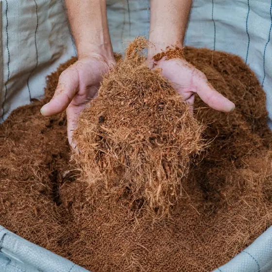 Fibrinha de Coco Sem Lavar 6L Substrato Natural para Orquídea Suculenta Cacto Jardim Plantas Ornamentais