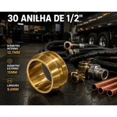 30 Anilhas 1/2 Em Latão Conexões Pneumático  Sistema de Ar Gás  hidráulico Manutenção Ar Comprimido.