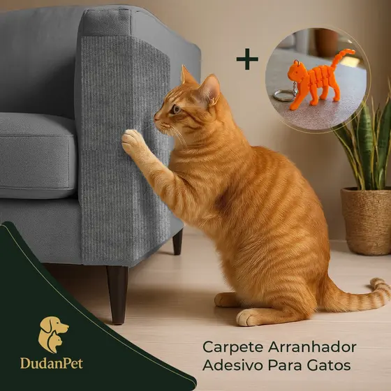 Arranhador Protetor Adesivo Gatos Pet Sofá, Parede, Moveis Premium 30x50cm + BRINDE