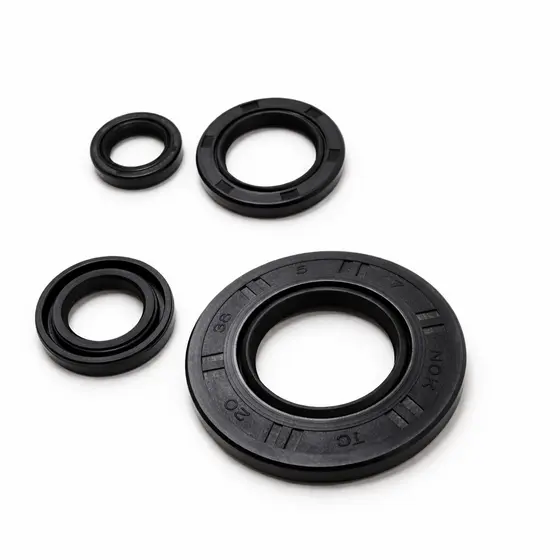 Kit 4 Retentores YBR 125 02/08 Factor 09/16 Completo
