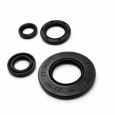 Kit 4 Retentores YBR 125 02/08 Factor 09/16 Completo