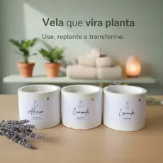 Kit Presente Criativo Trio Bloom 40g Velas Aromáticas Vira Planta Cera Vegetal