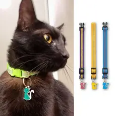 Coleira Elástica com Glitter e Pingente para Gatos – Ajustável e Confortável