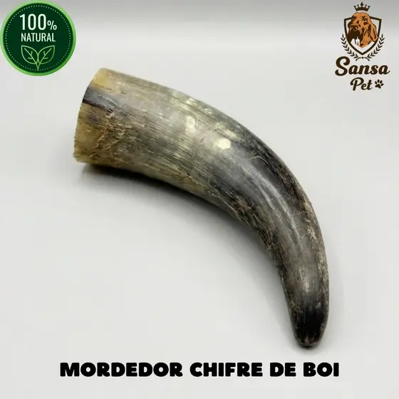 Mordedor Chifre de Boi 100% Natural Desidratado