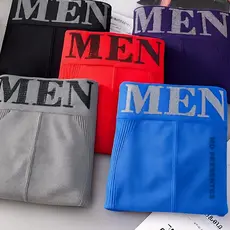 Kit Com Cuecas Boxer Microfibra Adulto Sem Costura cuecas Cores Sortidas